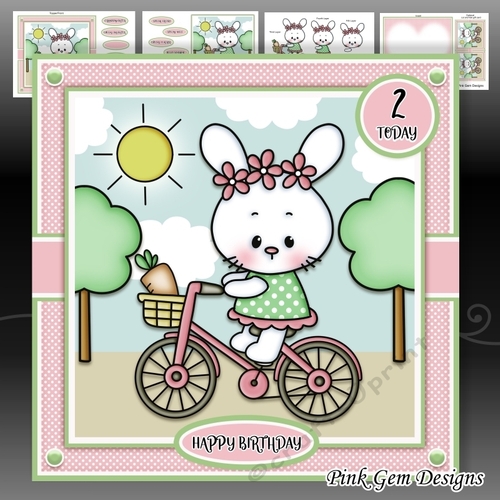 Bicycle Girl Bunny Mini Kit With Ages 1 to 6 Yrs