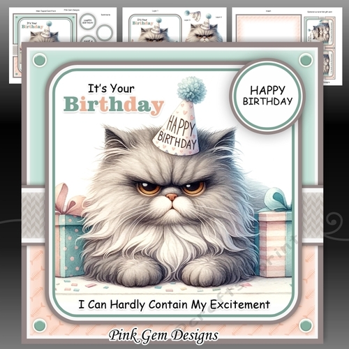Excited Birthday Cat Mini Kit