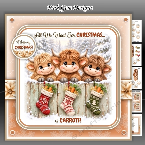 Christmas Carrots Mini Kit