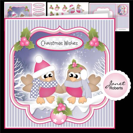 Mr and Mrs Robin Christmas Topper Mini Kit