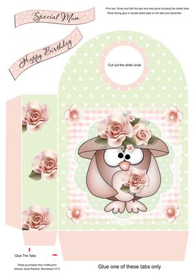 Mother Owl Large Gift Bag