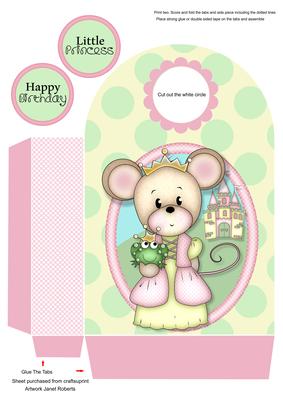 Princess Maisy Large Gift Bag