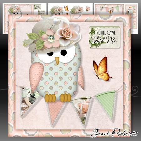 A Little Owl Told Me Mini Kit
