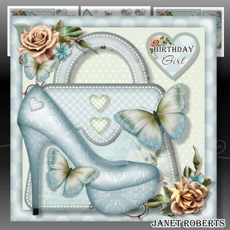 Shoes & Handbags Mini Kit
