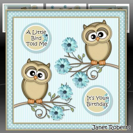 A Little Bird Told Me