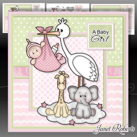 New Baby Girl Stork Mini Kit