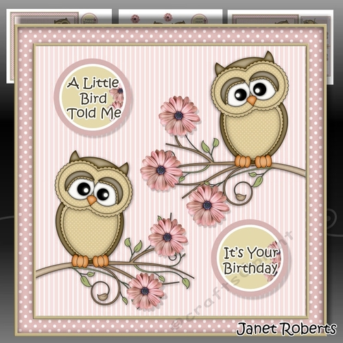 A Little Bird Told Me Mini Kit (Pink)