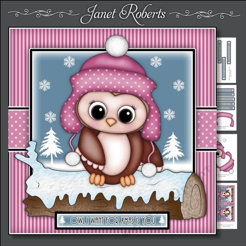 Owl I Want For Xmas Mini Kit 2