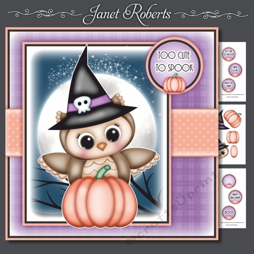 Too Cute To Spook Owl Mini Kit
