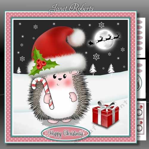 Hedgy in Santa Hat