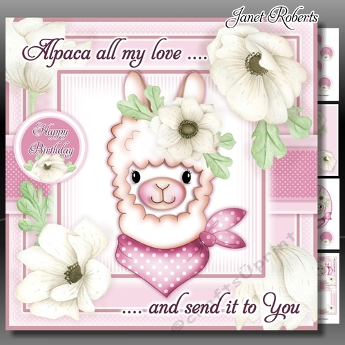 Alpaca All My Love Mini Kit