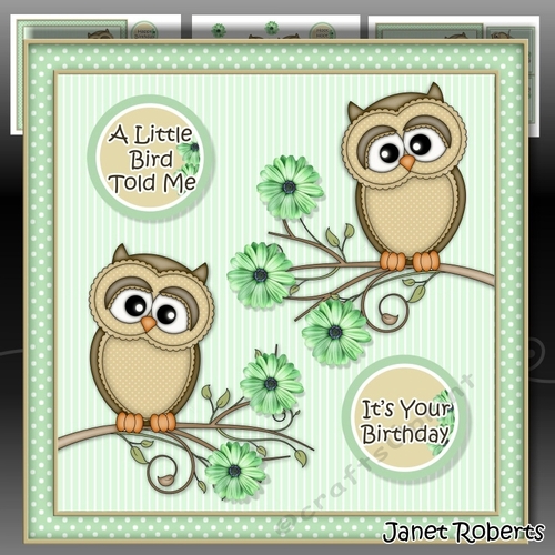 A Little Bird Told Me Green Mini Kit 