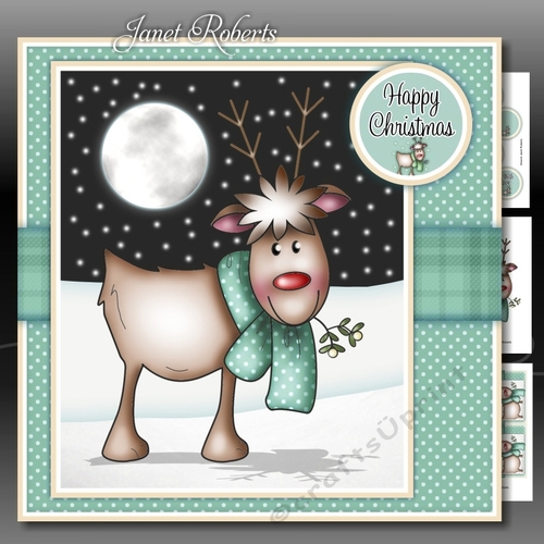 Rudy Reindeer Green Mini Kit