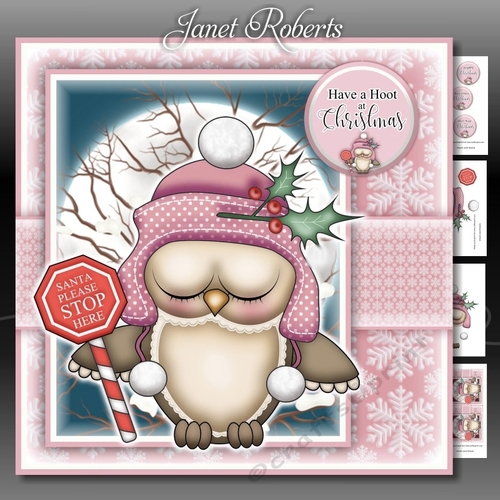 Santa Stop Here Ollie Owl Pink Mini Kit