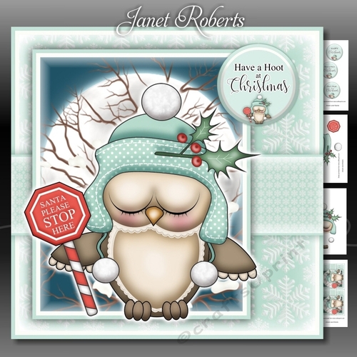 Santa Stop Here Ollie Owl Green Mini Kit