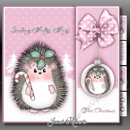 Sending Hedge Hugs Pink  Mini Kit