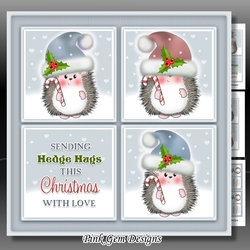Hedge Hug Squares 2 Mini Kit