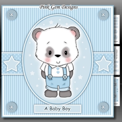 Baby Boy Panda Mini Kit