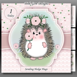 Hedgy Hedgehog Mini Kit With Ages 1 to 8 Yrs