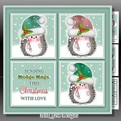 Hedge Hug Squares 3 Mini Kit