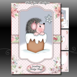 Plant Pot Hedgy A5 Mini Kit
