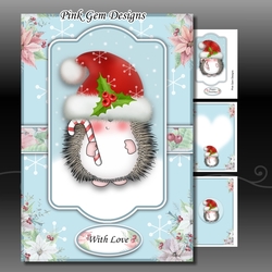 Hedgy With Candy Cane A5 Mini Kit