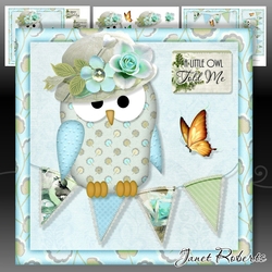 A Little Owl Told Me 3 Mini Kit