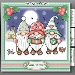 Singing Gnomes Mini Kit