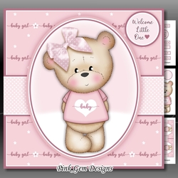 Baby Girl Mini Kit