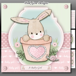 Baby Bunny Mini Kit