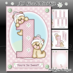 A5 1st Birthday Bears Girl Mini Kit