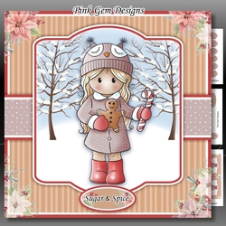 Sugar & Spice Mini Kit
