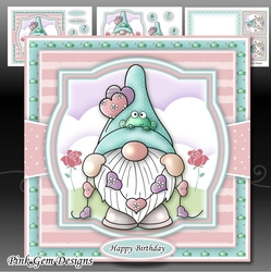 Frog Gnome Mini Kit With Ages