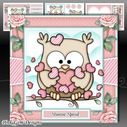 Love Owl Mini Kit