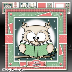 Night Owl Mini Kit