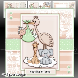 Baby Stork Mini Kit