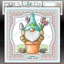 Spring Gnome With Ages 2 to 8 Yrs