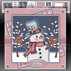 Snowman With Robins Mini Kit