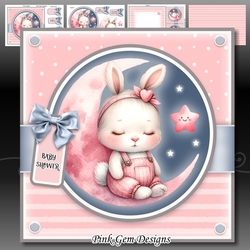 Baby Bunny Moon Mini Kit