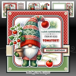 Tomatoes Mini Kit