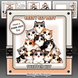 Cat Lady Kit Mini Kit