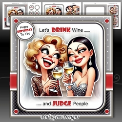 Lets Drink Wine Mini Kit