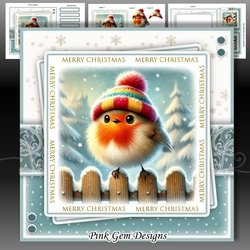 Winter Robin Mini Kit