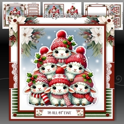 All Of Ewe Mini Kit