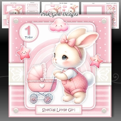 First Birthday Bunny Mini Kit