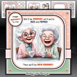Old & Senile 2 Mini Kit