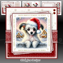 Santa Paws Chinese Crested Mini Kit