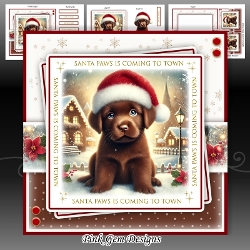 Santa Paws Chocolate Labrador Mini Kit