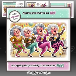 Ageing Disgracefully Mini Kit