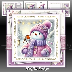 Snowman & Robin Mini Kit